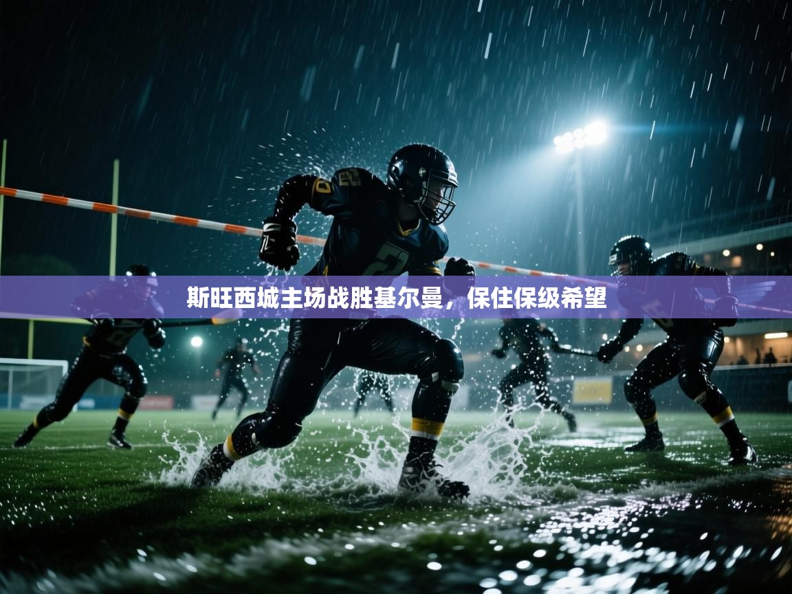 开云体育app投诉-斯旺西城主场战胜基尔曼，保住保级希望  第2张