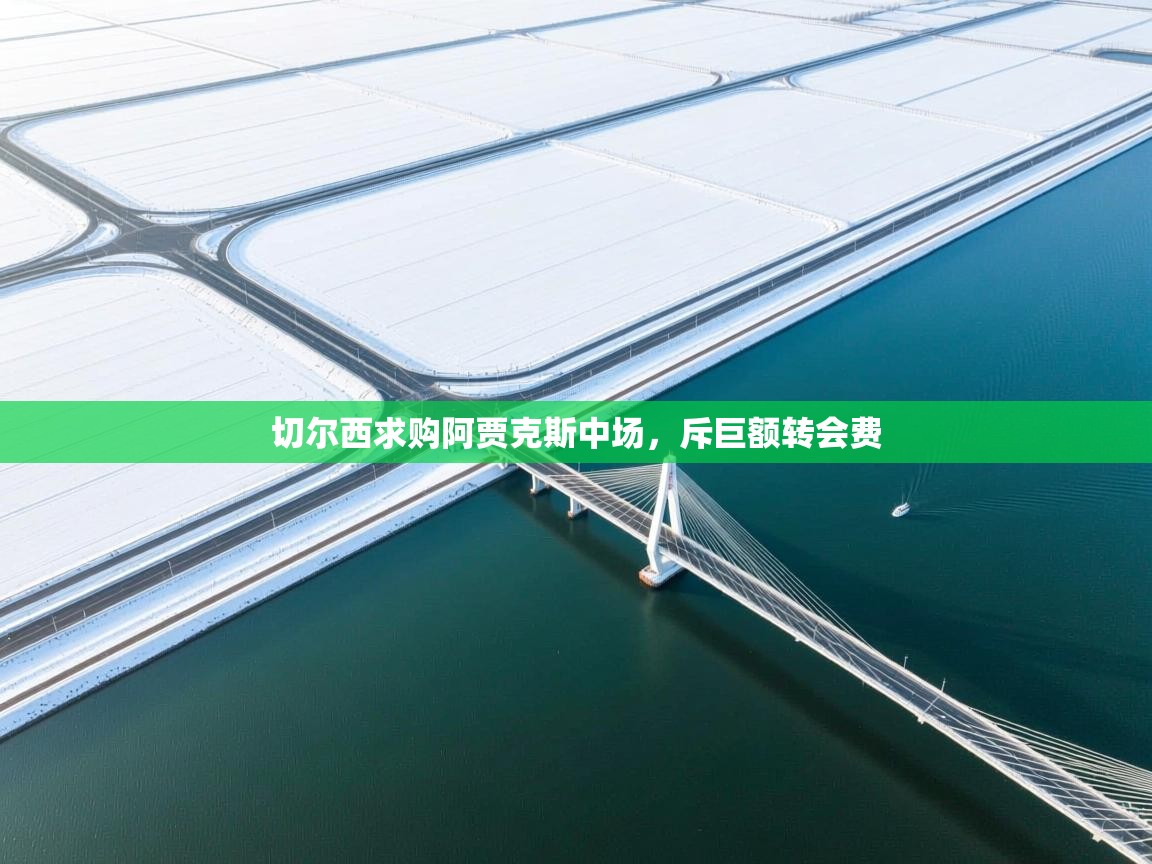 开云体育app官网下载地址-切尔西求购阿贾克斯中场，斥巨额转会费  第1张