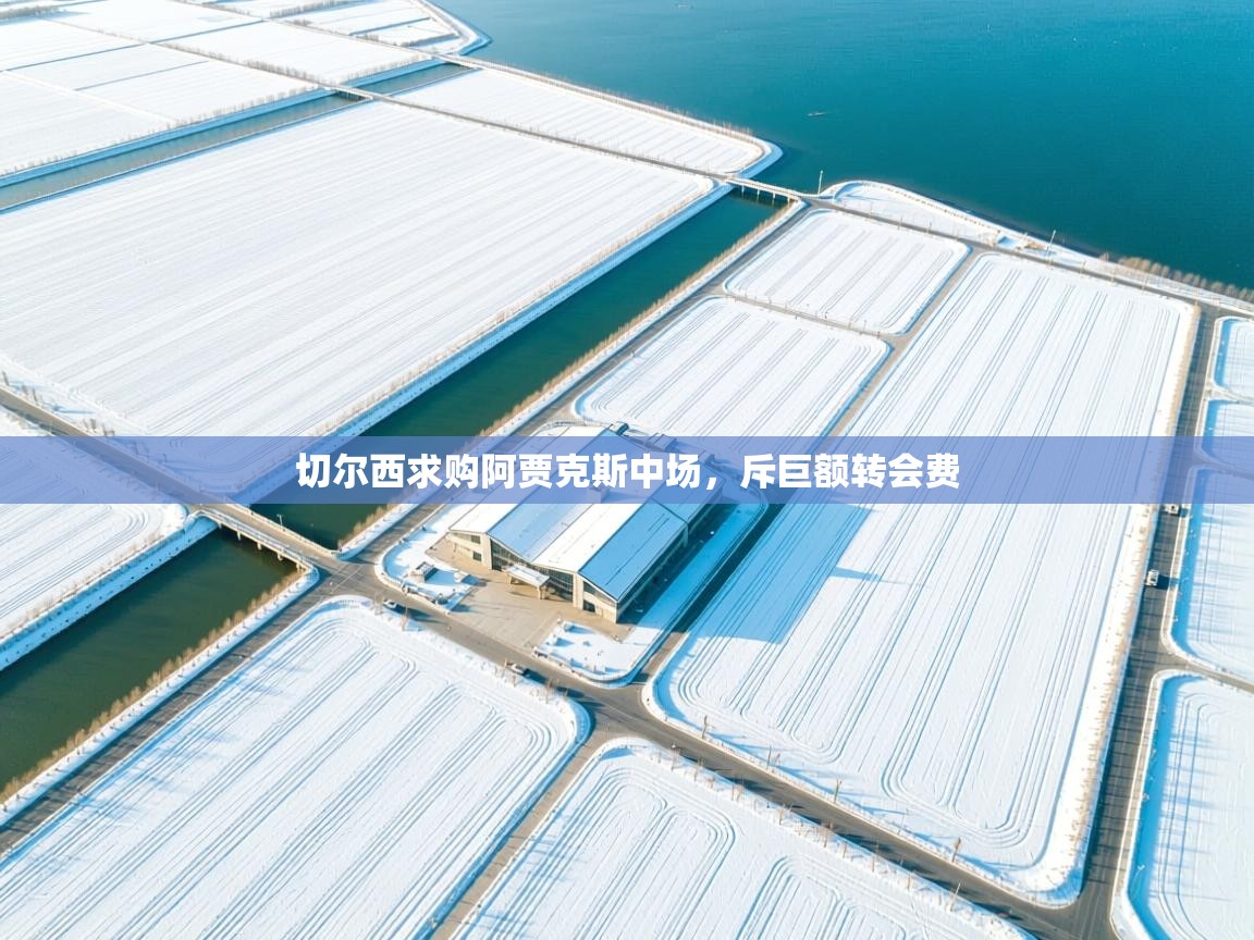 开云体育app官网下载地址-切尔西求购阿贾克斯中场，斥巨额转会费  第2张