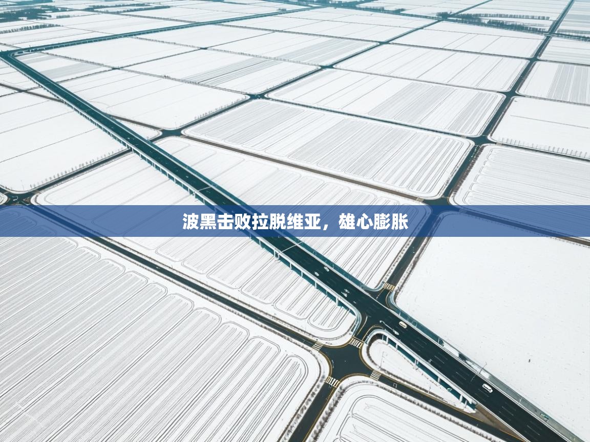 开云体育版本更新日志2025-波黑击败拉脱维亚，雄心膨胀  第1张