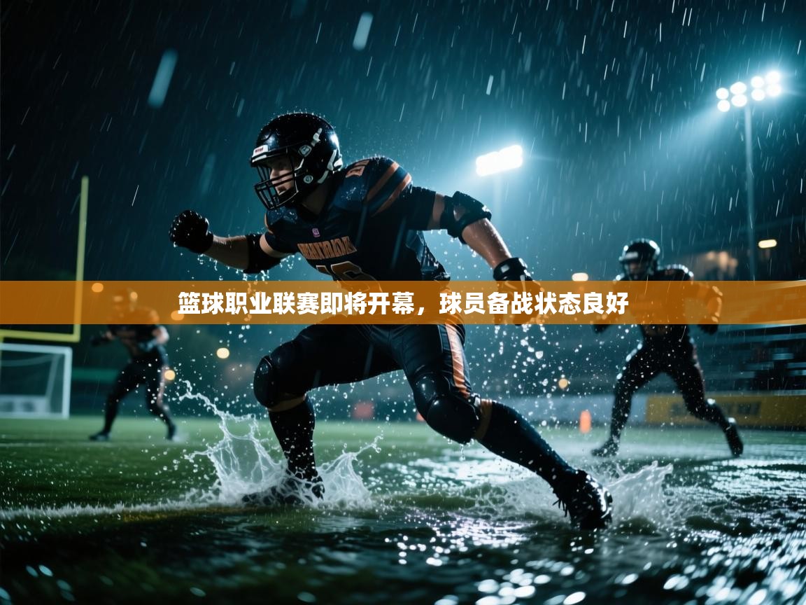 开云体育app投诉-篮球职业联赛即将开幕,球员备战状态良好 第4张