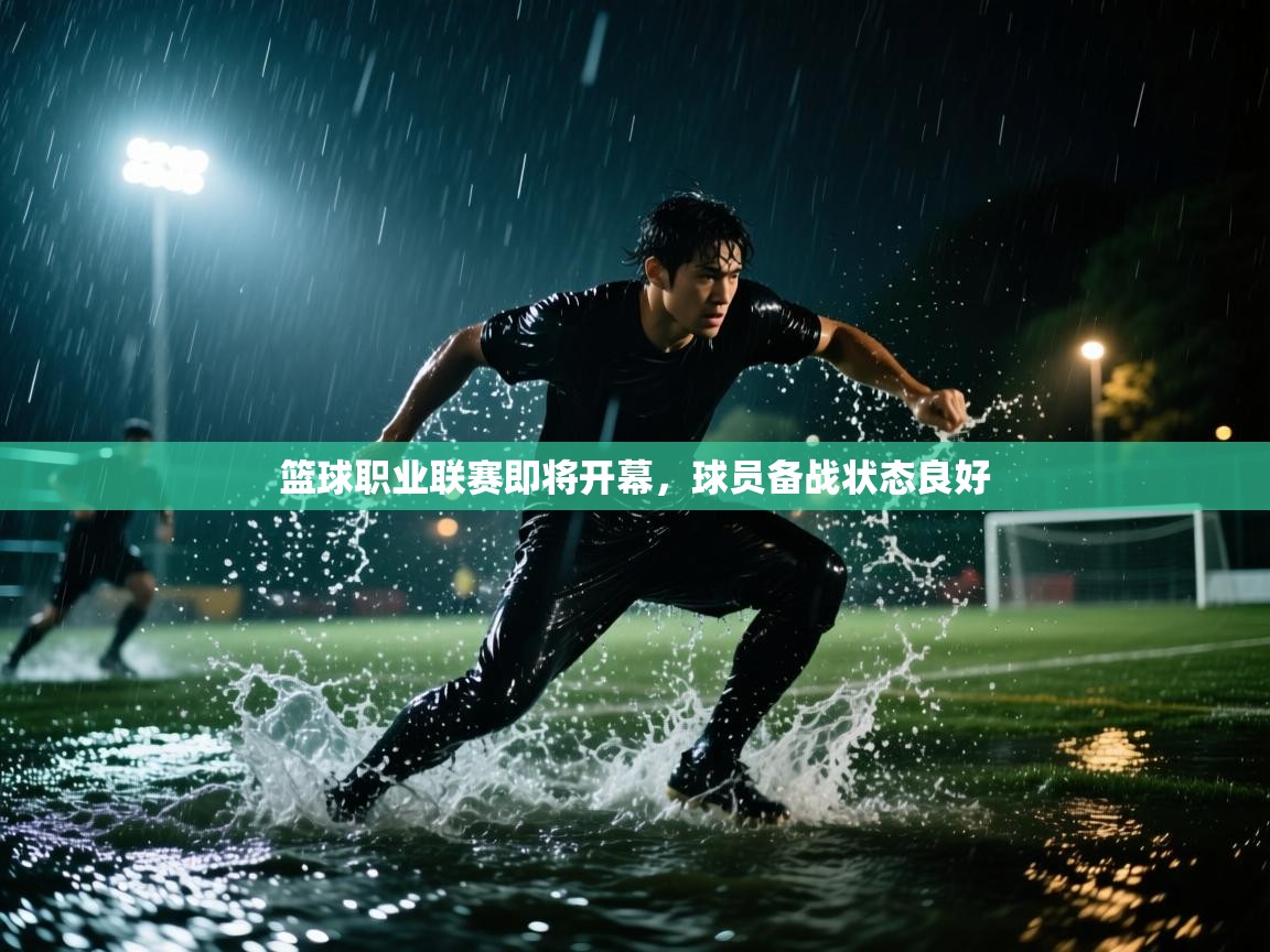 开云体育app投诉-篮球职业联赛即将开幕,球员备战状态良好 第3张
